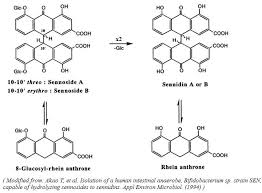 The mutagenicity of senna glycosides and extracts of senna folium and senna fructus was investigated in the salmonella typhimurium reversion assay. Senna Alexandrina Research Breakdown Examine Com