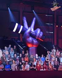 Wer wird the voice of germany 2020? Ein Grosses Dankeschon Fur Eure The Voice Of Germany Facebook
