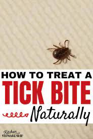 How To Treat A Tick Bite Naturally What To Do After Removing A Tick
