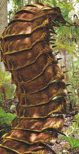 We did not find results for: Arthropleura Prehistoric Earth A Natural History Wiki Fandom
