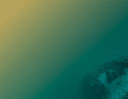 Image result for Rytigynia ruwenzoriensis