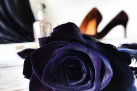They form a group of plants that can be erect shrubs, climbing, or trailing, with stems that are often armed with sharp prickles. The Magic And Mystery Of Our Top 10 Black Flowers Interflora