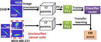 We did not find results for: Quantitative Scoring Of Epithelial And Mesenchymal Qualities Of Cancer Cells Using Machine Learning And Quantitative Phase Imaging