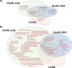 Be physically active, eat healthily, adopt healthy sleep habits, limit their sedentary . Self Rated Health In Individuals With And Without Disease Is Associated With Multiple Biomarkers Representing Multiple Biological Domains Scientific Reports
