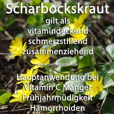 Pin Auf Krauter U Heilung