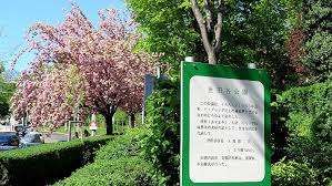 Ресторан американской кухни в wien, österreich. Der Setagayapark Ein Japanischer Garten In Wien