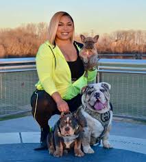 French bulldog puppies for sale in california (ca), usa. Dynamic Bulldogs English And French Bulldog Breeder St Louis Mo