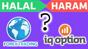 Different islamic trading accounts abiding by the sharia law: Iq Option Forex Trading Halal Ya Haram Complete Information Urdu Hindi Only On Abdulrauf Tipsl Youtube