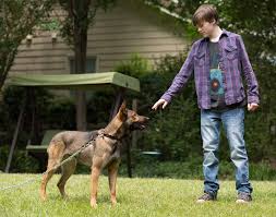 Bit.ly/sxaw6h subscribe to coming soon: First Trailer And Poster For Inspirational Story Max Comingsoon Net