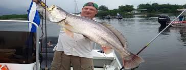 ANDRÉ SALERNO: experiente guia de pesca em Bertioga