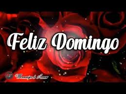 Pin En Frases Bonitas