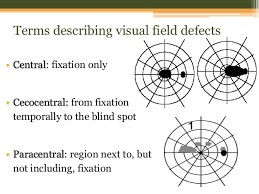 Central And Peripheral Visual Field