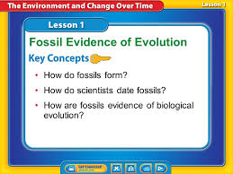 By the way, about evolution evidence worksheet, below we can see various similar images to add more info. Lesson 1 Fossil Evidence Of Evolution Ppt Download