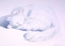 But the good thing about white is it's easy to cover, like a primer. White On White Painting By Tom Wooldridge