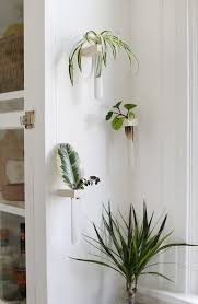 Diy Wall Propagation Tubes Wall Vase Decor Plant Wall Diy Plant Wall Decor