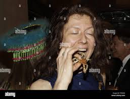 Fried tarantulas hi-res stock photography and images