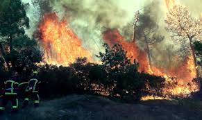 En hiver, dans le sud de la france, le ciel est bleu, il y a du soleil et il fait doux. Toulouse Specialises En Feux De Foret Des Pompiers Partent Lutter Contre Les Incendies Dans Le Sud Actu Toulouse