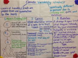 Mrs Paul Biology Genetic Variability Glad Anchor Charts