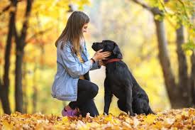 Once the cremation is complete, we use a magnet to remove all metal objects found in the ashes. How Pet Cremation Works The Living Urn