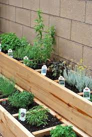 We did not find results for: Raised Bed Herb Garden Garten Garten Ideen Krautergarten