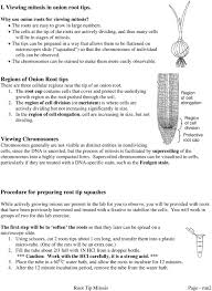 Mitosis virtual lab determine what phase of mitosis the cells are in. Mitosis Virtual Lab Worksheet Answer Key Start Studying Mitosis Labster Answers Review Newyork City Movie