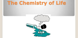 Trivia is the collection of arcane and obscure bits of knowledge. The Chemistry Of Life Quiz Trivia Test Proprofs Quiz