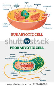 Maybe you would like to learn more about one of these? Shutterstock Puzzlepix