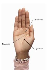 Lignes De La Main Decouvrez Comment Lire La Ligne De Vie De Coeur Etc Aufeminin Chiromancie Lignesdela Lignes De La Main Ligne De Vie Chiromancie Ligne de vie charpente bois ou métallique. lignes de la main ligne de vie