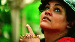 SURVIVOR: GAME CHANGERS Review