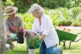 Altersgerechte Gartengestaltung Richtig Gemacht 59plus
