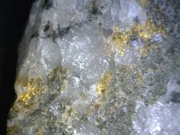 We would like to show you a description here but the site won't allow us. Gold From Ecuador