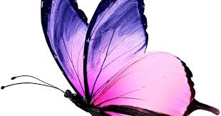 Address, 1011 west atchison avenue, fresno, ca, usa. Pin En Tatuajes