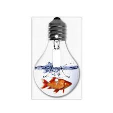 Fish Swimming In A Light Bulb Quirky Fish Tank Light Switch Cover Zazzle Com In 2020 Fish Tank Lights Light Switch Covers Light Switch