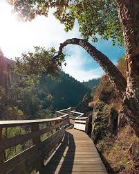 The passadiços do paiva (paiva walkways) are located on the left bank of the paiva river, in the municipality of arouca, district of aveiro, portugal. Passadicos Do Paiva Portugal Instagram Landscape World