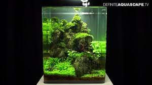 Some natural freshwater aquarium aquascape design ideas include recreating terrestrial hillsides, mountaintops, and valleys, while advanced aquascapes might include a jungle or tropical island motif. Aquascaping The Art Of The Planted Aquarium 2013 Nano Compilation Youtube