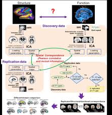 Maybe you would like to learn more about one of these? Ismrm19 Posters Fmri