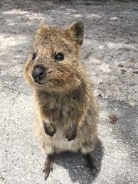 Pin On Bela Natureza