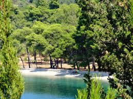 On board διαδρομή ψάθα αλεποχώρι αττικής. Skinos I8akh Terrabook