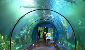 Check spelling or type a new query. 12 Top Rated Attractions Things To Do In Galveston Planetware