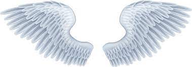 Check spelling or type a new query. Baby Angel Wings Png Angel Wings Clipart Transparent Full Size Png Download Seekpng
