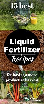 Our top pick for the best organic fertilizer is the unco industries worm castings organic fertilizer. Pin By Luz Maria Giraldo Rivera On Garden Homestead Organic Liquid Fertilizer Organic Vegetable Garden Organic Gardening Tips