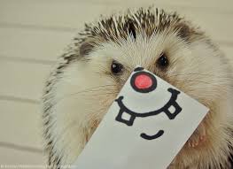 images?q=tbn:ANd9GcTkVYK2n6BR9RMJite9pn0ilauZbIKkdcoG3xNhhVPJYJoJwCEN