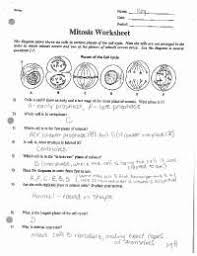 It clearly lays out the course content and describes the exam and ap program in general. Mitosis Worksheet Answer Key Honors Biology Docsity