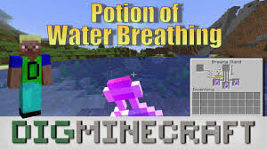 Potion Of Water Breathing In Minecraft Youtube