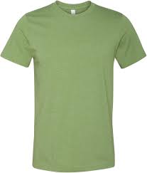 Bella + Canvas Unisex Jersey Short-Sleeve T-Shirt, Large ...