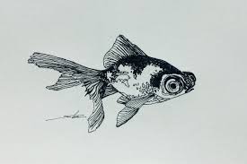 Image Thursday File Drawings Theme Goldfish Pen Ink Drawing Ink Pen Drawings Ink Drawing Drawing Themes
