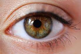 Do you have hazel eyes? Hazel Eyes The Eye Color Chameleon