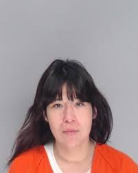 SAUCEDO DANIELLE NICOLE Age: 28 Gender: F Charges: Charge Code: 48040003  Charge Description: TAMPER/FABRICATE PHYS EVID W/INTENT TO I Charge Date:  04/21/2025 15:30:00 UTC Bond Type: WITHOUT Bond Amount: Currently  Unavailable Disposition