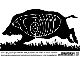 Black Bear Shot Placement Archery Boar1 Jpg 1 600 1 131 Keppont Shooting Targets Hunting Crossbow Targets