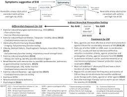 Asthma is caused by different triggering factors. Exercise Induced Bronchoconstriction Update 2016 Journal Of Allergy And Clinical Immunology